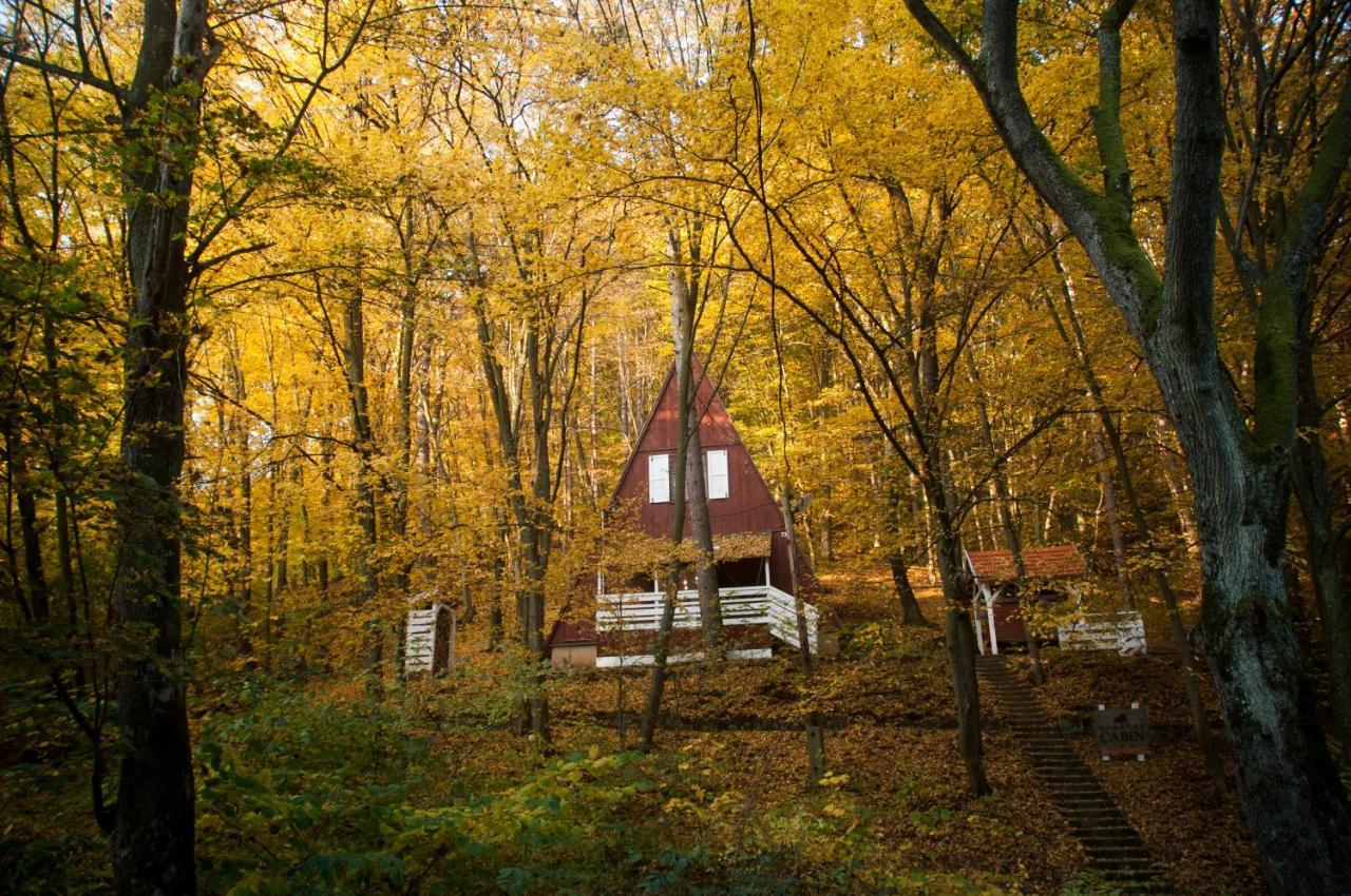 Noszvaj Cabin Kültér fotó