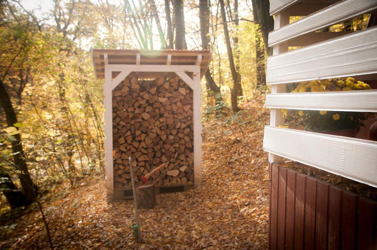 Noszvaj Cabin Kültér fotó