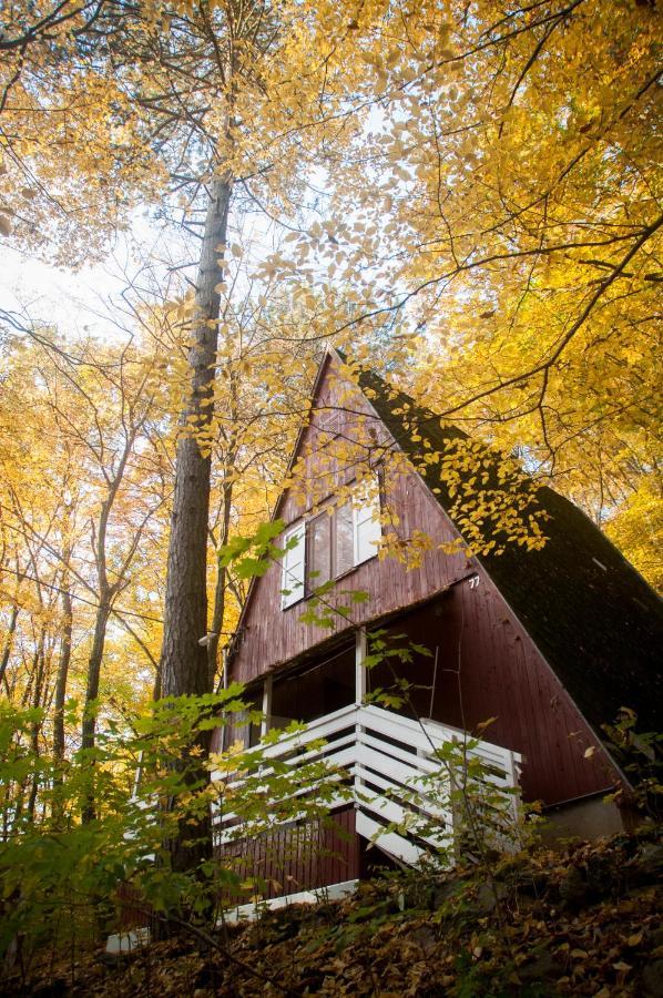 Noszvaj Cabin Kültér fotó